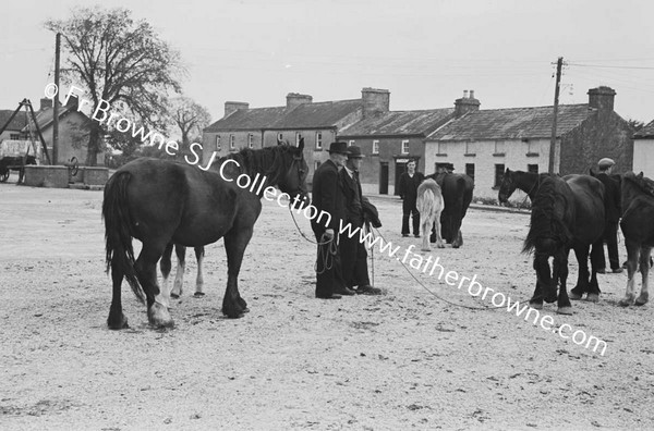 FAIR SCENE  HORSES